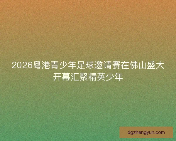 2026粤港青少年足球邀请赛在佛山盛大开幕汇聚精英少年 2026粤港青少年足球邀请赛在佛山盛大开幕汇聚精英少年